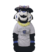 Thunder Bobcats Sticker by Georgia College