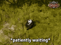 China Eating GIF by El Presidente