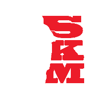 skmvilnius basketball lietuva vilnius krepsinis Sticker