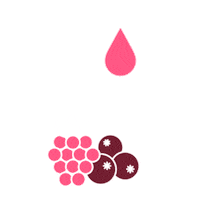 Renew Hyaluronic Acid Sticker by Jeuneora