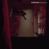 V Cinema Film GIF by Arrow Video