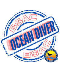 Scuba Diving Ocean Diver Sticker by Manta Diving Lanzarote