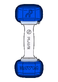 Concert Noah Sticker