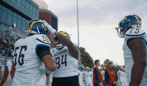 College Sports Football GIF by Delaware Blue Hens