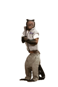 Venture Capital Dance Sticker by Sweater Ventures