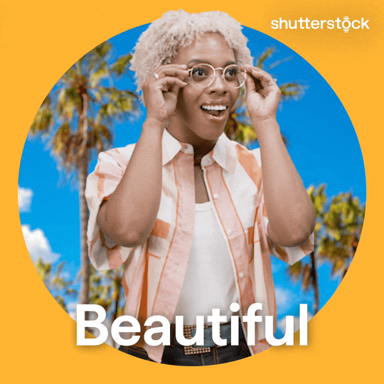 Los Angeles Summer GIF by Shutterstock