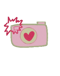 karenazedinha_ camera rosa coracao fotografia Sticker