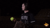 PRCCAthletics softball wildcats juco prcc GIF