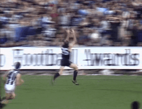 hit stan GIF by CollingwoodFC