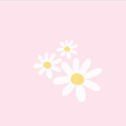 Mugamugamuga  GIF