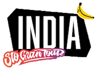 India Sgt Sticker by Sto Gran Tour