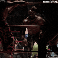 Wrestle Episode 5 GIF by Heels
