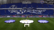 Al Hilal GIF