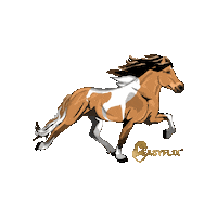 Horse Hast Sticker by Easyflix TV