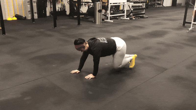 bodybuilding-and-fitness giphyupload fitness animal GIF