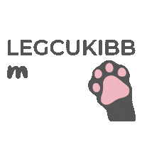 Kiskedvencekhu cica cuki macska kiskedvenc Sticker