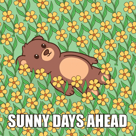 Happy Teddy Bear GIF by BEARISH