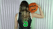 Basketball GIF by RiverHawk Sports