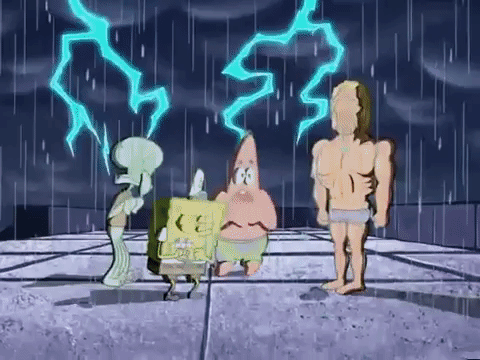season 6 GIF by SpongeBob SquarePants