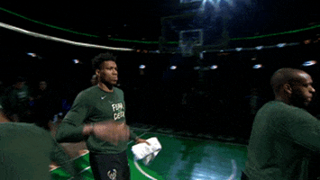 Nba Playoffs Fun GIF by NBA