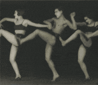 GIF by mbellasartes