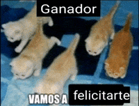 Ganador GIF