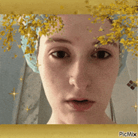 palesnaile fall autumn golden captial GIF