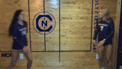 cnvb 2018cnvb GIF by Carson-Newman Athletics
