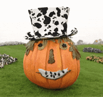 Halloween Dress Up GIF by Teletubbies