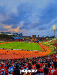 Morocco Wydad GIF