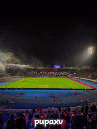 Morocco Wydad GIF
