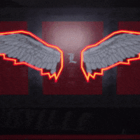 College Football Sport GIF by Louisville Cardinals