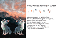 Baby Animals Dute GIF