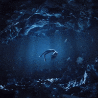 Nmixx GIF