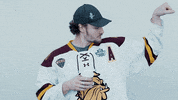 ncaasports hockey college ncaa ice GIF