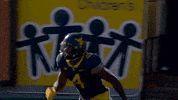 College Football GIF by WVU Sports
