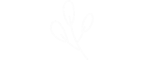 Christmas Flower Sticker