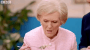 episode 8 britains best home cook GIF by BBC