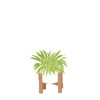 mikalynpaige plant planter spider plant spiderplant Sticker