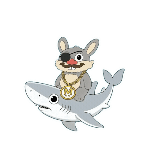 Animal Kingdom Shark Sticker