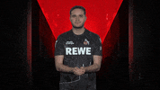 Sk Gaming Esports GIF by Bundesliga