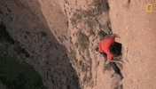 Nat Geo Adventure GIF by National Geographic Channel