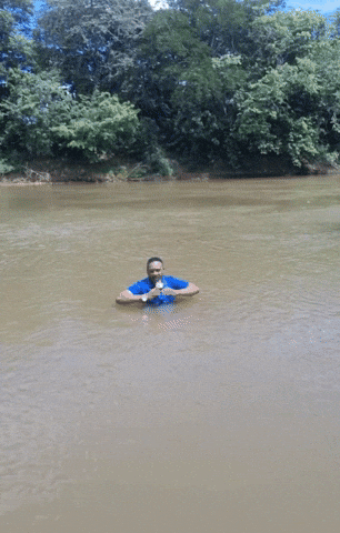 yj_jane giphyupload GIF