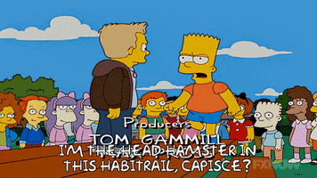 Season 19 Episode 13 GIF by The Simpsons