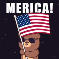 American Usa GIF by BEARISH