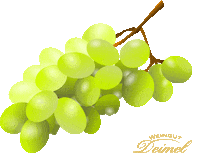 Essen Trauben Sticker by Weingut Deimel