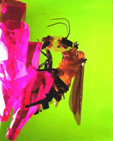 Bee Recycle GIF by Jean Scuderi