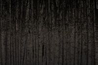 GIF by Tom Foolery Photo Booth