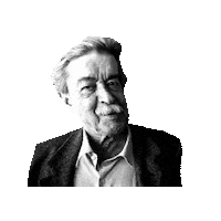 Feitep meme arquitetura rocha konrad Sticker