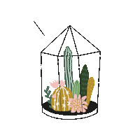 floranova plant plante terrarium jdf Sticker